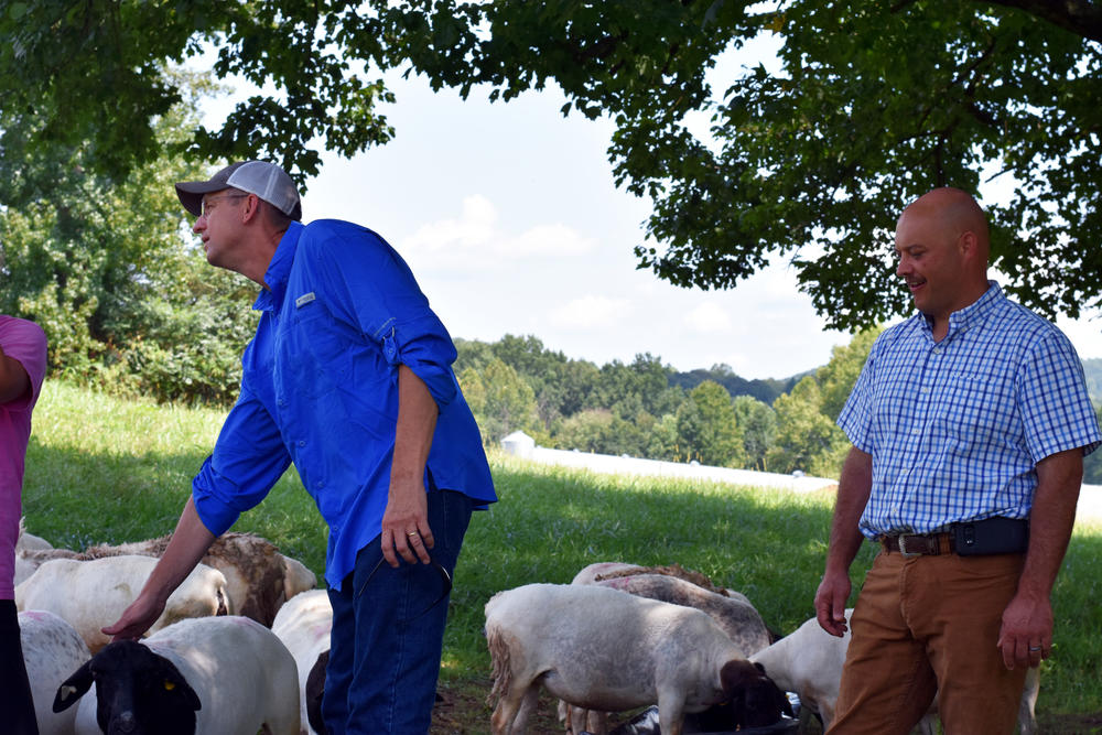 Rep. Doug Collins (R-Gainesville) pets one of Nathan Nix's sheep at Double N Farms.