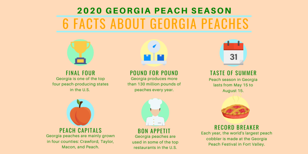 Strong Peach Harvest Expected For 2020 Season Georgia Public Broadcasting