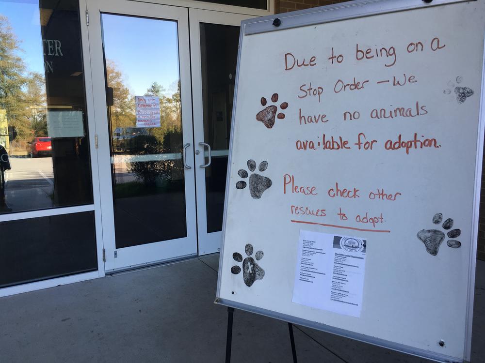 The Macon-Bibb County Animal Shelter was cleared Thursday to reopen after the Georgia Department of Agriculture shut them down after failed inspections in October.