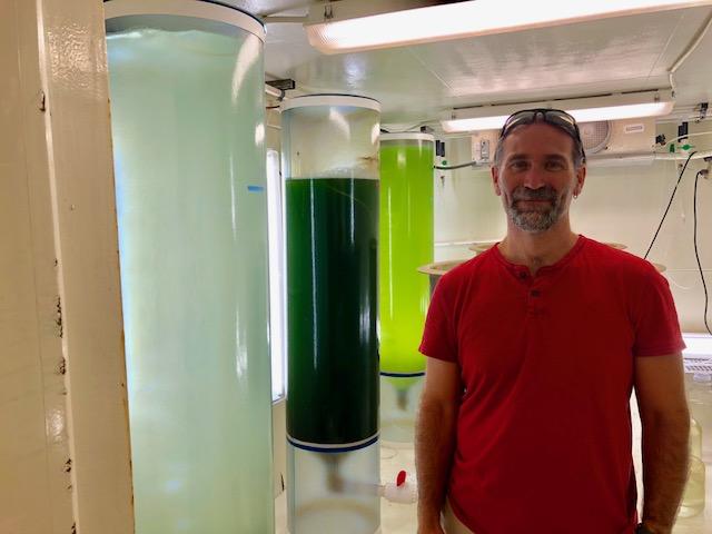 Tom Bliss with tanks of algae used to feed the oysters