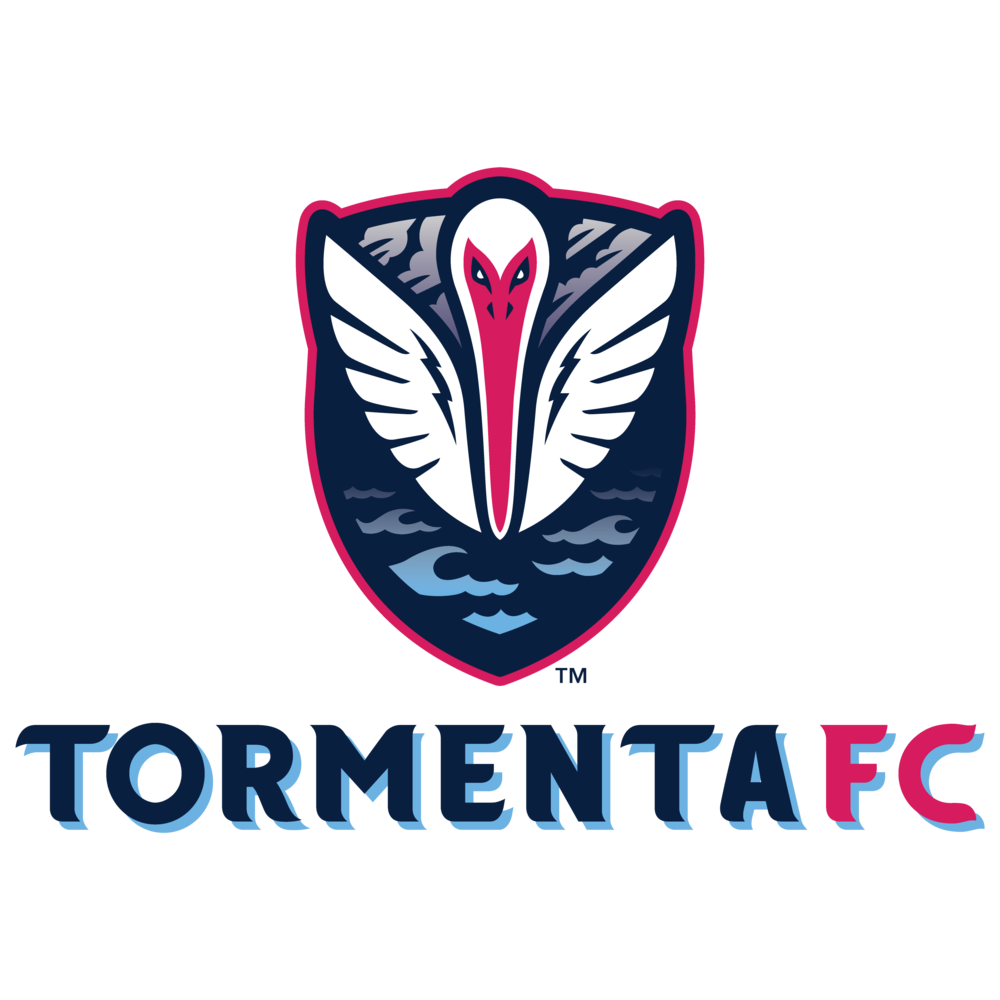 Tormenta FC's logo features an ibis flying back from a storm.