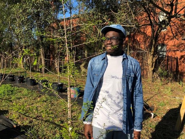 Apprentice arborist Jason Smith checking out the new growth