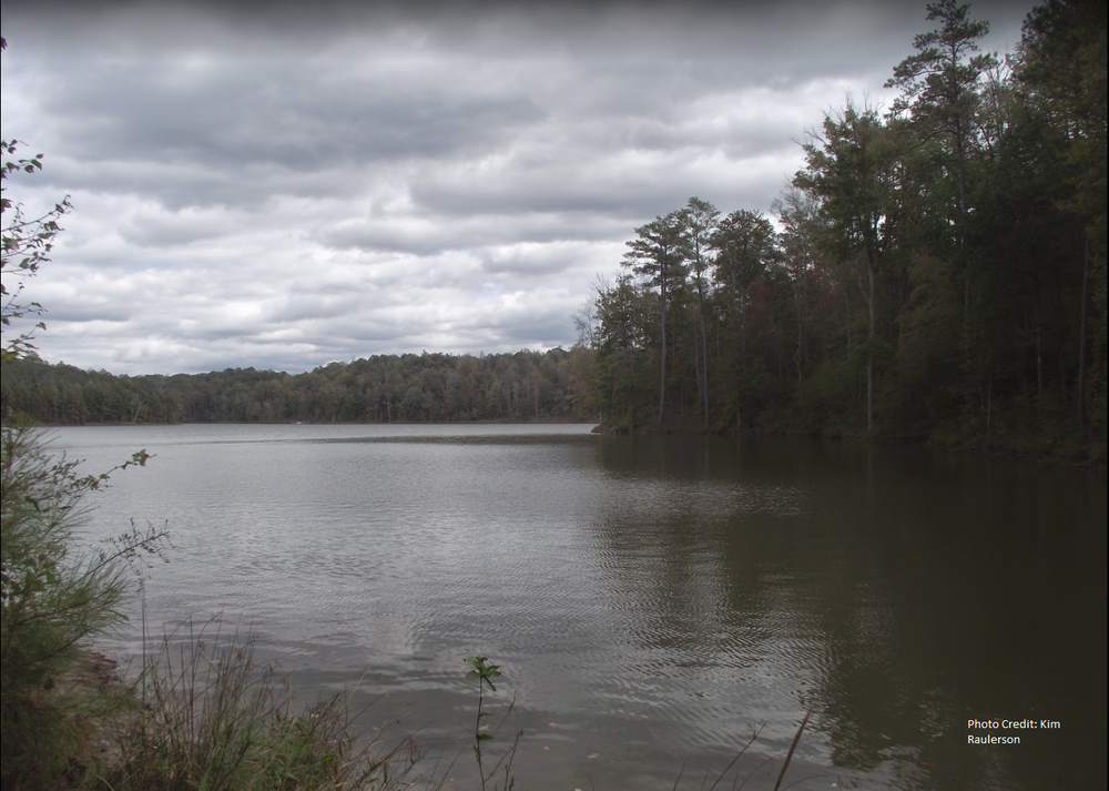 Dog River located in Douglas County