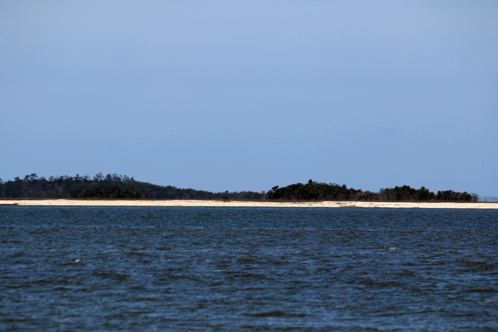 View from Cumberland Island of mainland Camden County near where the proposed Spaceport would launch rockets.