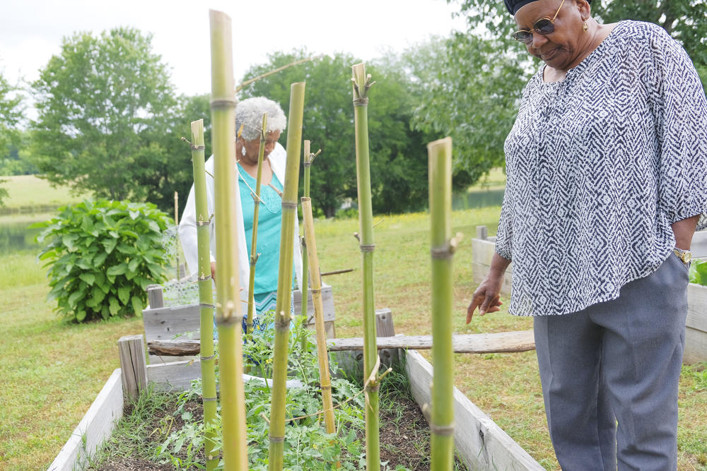 Eloise H. Boyd, left, and Ida McClinton check on the garden behind the Twiggs County Senior Center. The food from the garden figures into communal meals at the center, something in keeping with the local plan to stem senior hunger in Twiggs County.