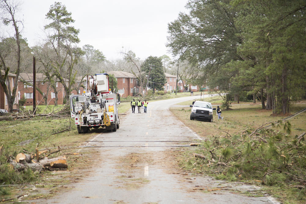 A street of apartments cleared of debris in Albany. 