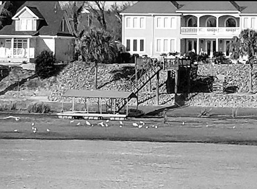 Lower water levels leave boat docks resting on mud flats along Savannah River in Augusta