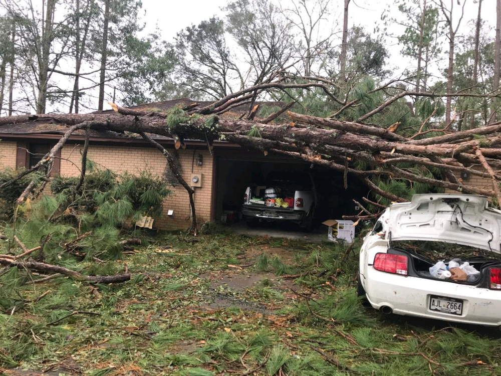 A tree rests on a home and car in Bainbridge as a result of Hurricane Michael.