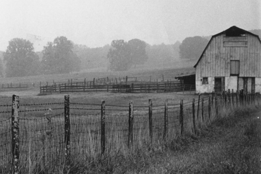 The barn was used as a dairy farm, then for angus beef, and later for horses over its 60 years in operation.