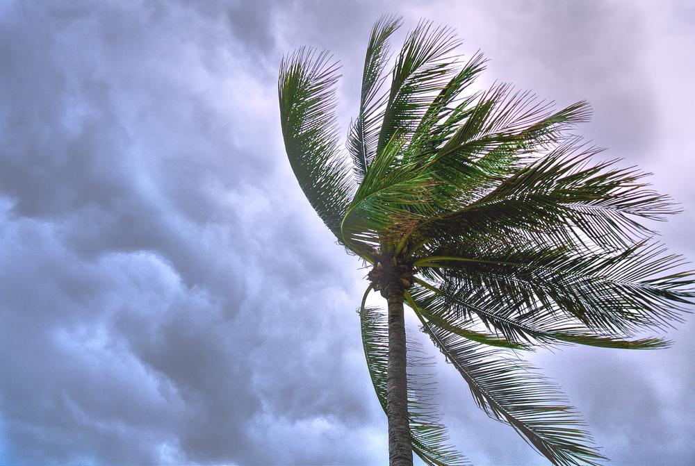 Nestor rushed into Georgia on Saturday as a post-tropical cyclone after the former tropical storm spawned a tornado in Florida.