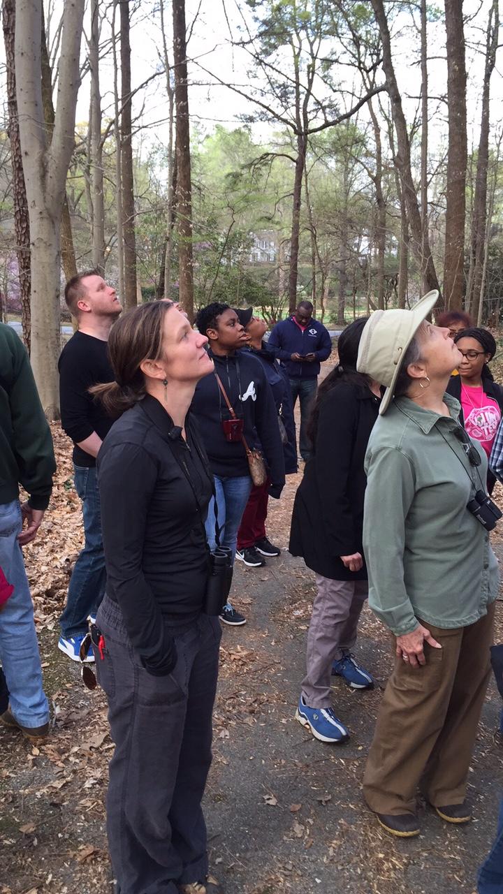A group is the lookout for singing birds at the Fernbank Forest in Atlanta  on March 19,  2016.
