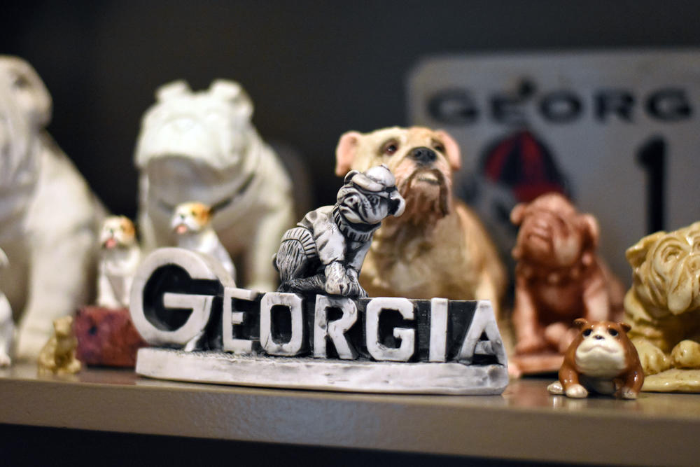 Some of more than 300 bulldogs at former University of Georgia football coach Vince Dooley's house in Athens ,
