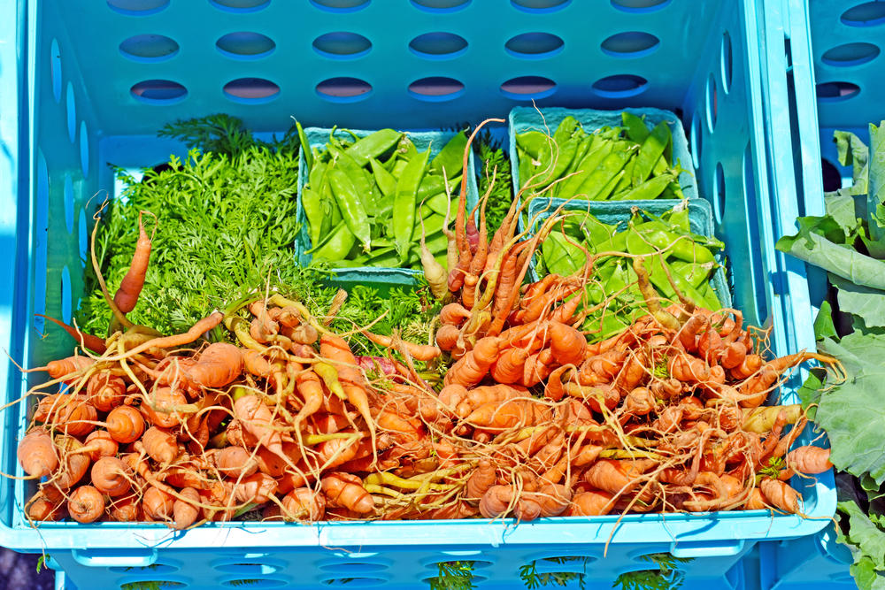 Fresh carrots and snow peas are a few of the vegetables sold on the Farm Bus.