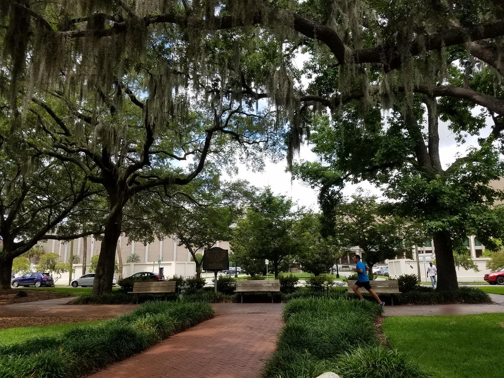 On Savannah's Orleans Square, the Civic Center and its surrounding parking lot interrupt the original layout of streets, lanes, and lots.