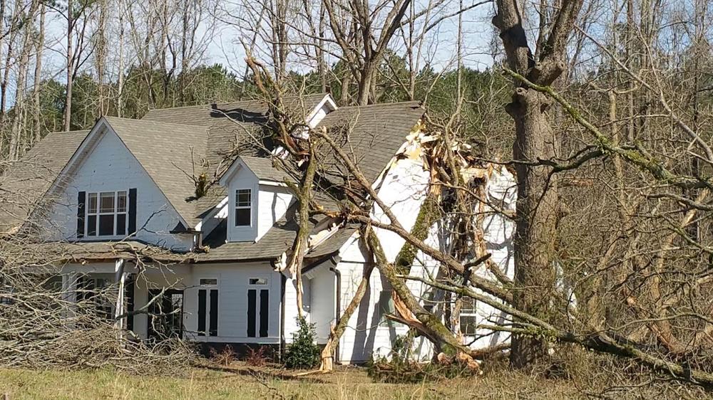 A large oak tree fell onto a house on Gordon Oaks Way.