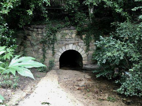 This stone culvert in the Macon Dog Park was built under the railroad tracks in the early 1800s. 