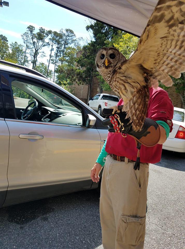 The Macon Museum of Arts and Sciences held a drive-through mini zoo on June 10, 2020. 