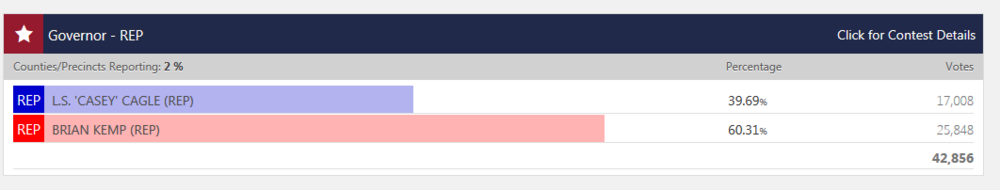 Screenshot taken at 7:43 p.m. from Georgia Secretary of State website.