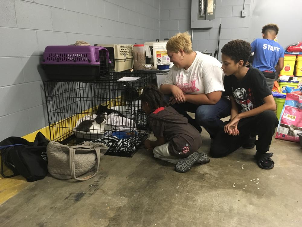Sophia Ussery and her children visit their American Ragdoll cat at the pet evacuation center in Macon