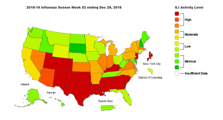High influenza activity was reported across the South during the week ending Dec. 29, 2018. 