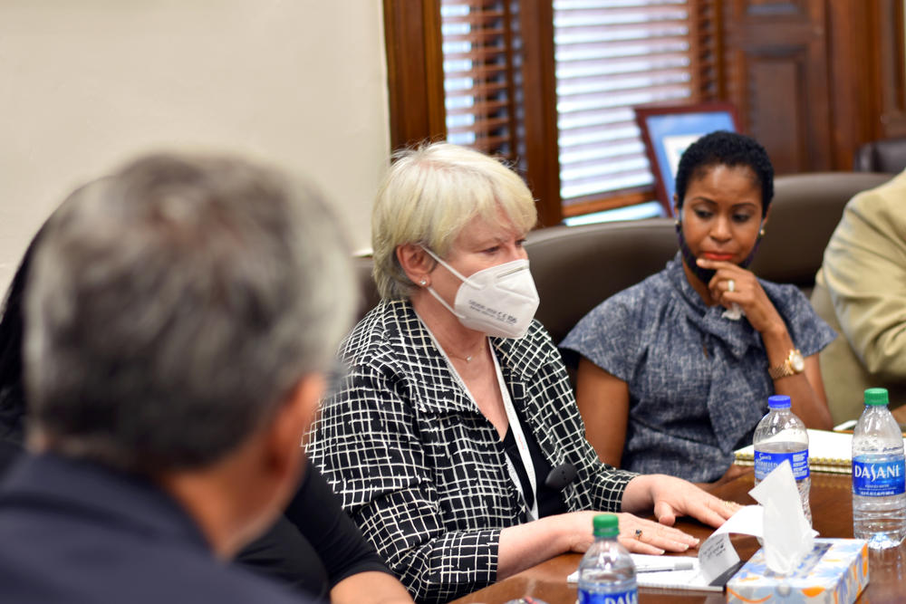 Fulton County Elections Board Chair Mary Carole Cooney speaks at a meeting with the secretary of state Monday, June 22, 2020.