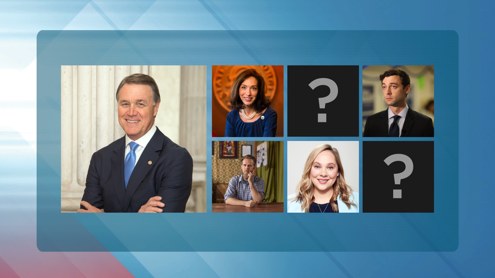 Four Democratic primary candidates have emerged in the race to challenge incumbent Republican Sen. David Perdue.