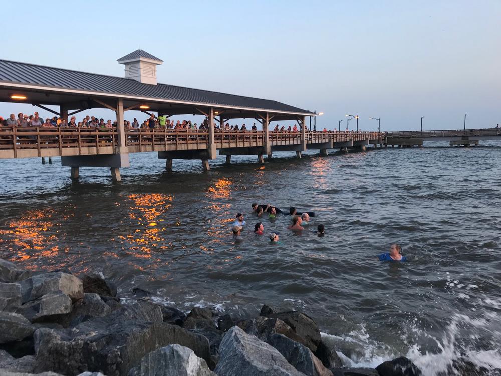 Dozens of pilot whales beached themselves on a Georgia shore and most were rescued by authorities and onlookers who pulled the animals further into the water.