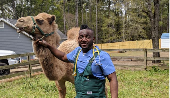 Later this year, two Georgia veterinarians will star in a reality TV show on National Geographic.