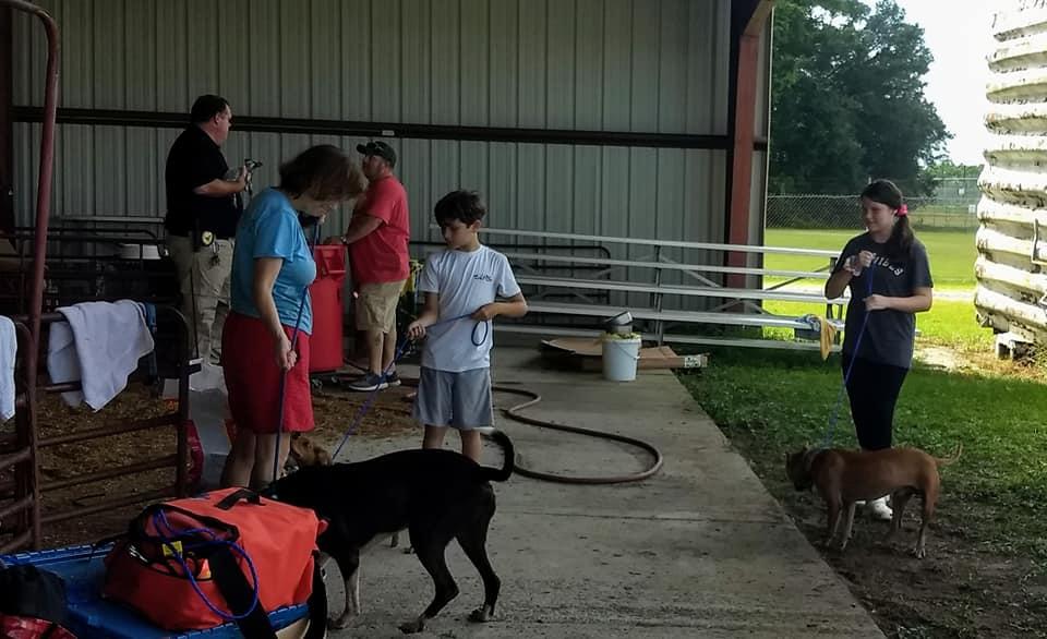 Volunteers assist in caring for evacuated animals at Glynn County Animal Control. 