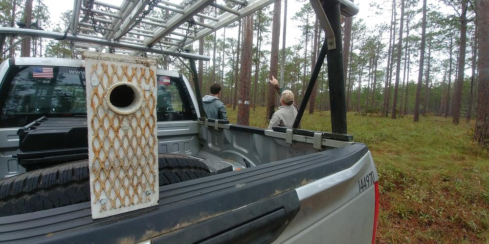 US Fish & Wildlife Federation's temporary housing for displaced red cockaded woodpeckers, staff surveying downed pines in Southwest Georgia.