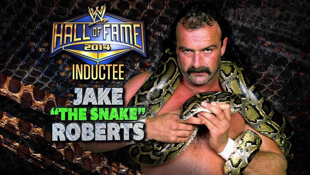 Jake the snake wrestler discount
