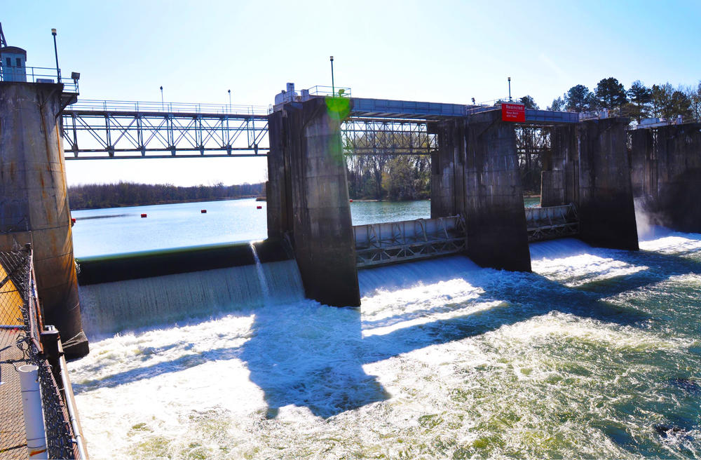 The Savannah Bluff Lock and Dam