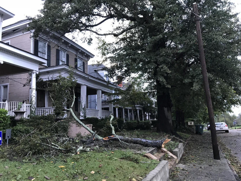 Trees damaged homes in Macon as Hurricane Michael blew through.