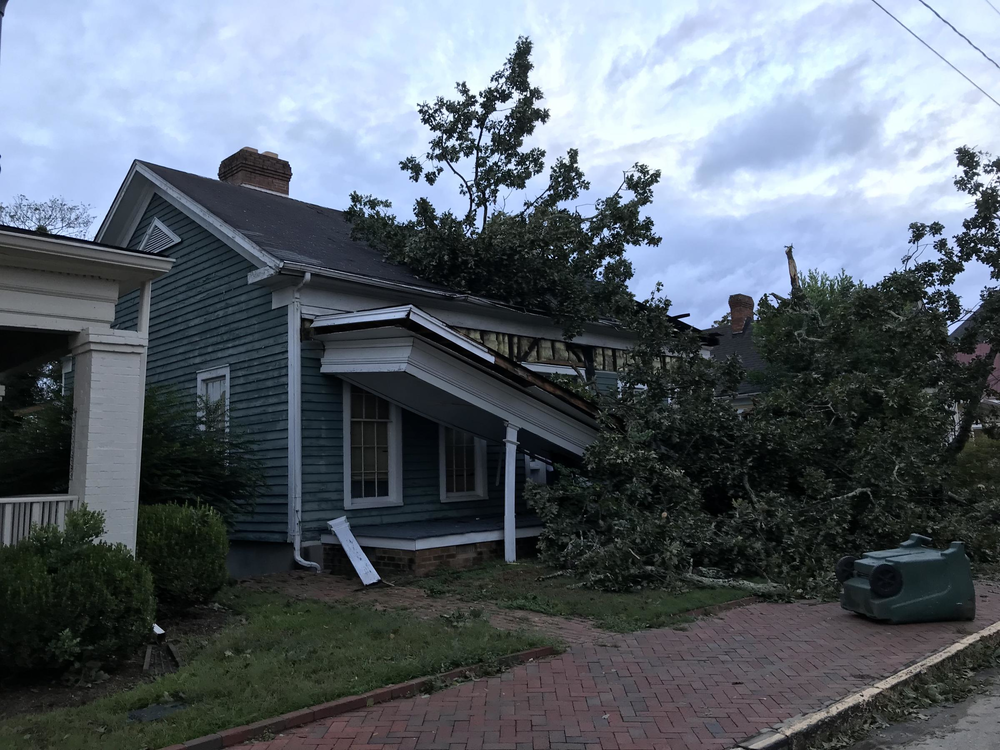 Trees damaged homes in Macon as Hurricane Michael blew through.