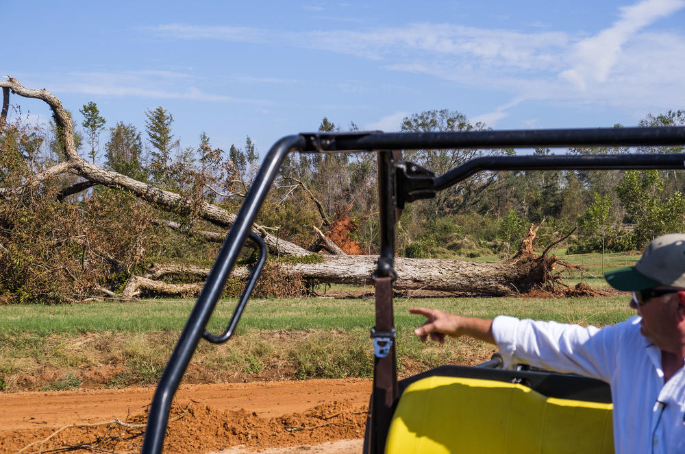 Pine Knoll Plantation farm manager Mitch Bulger near one of the thousands of pecan trees blown down by Hurricane Michael.