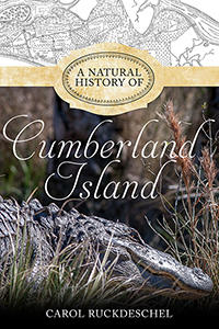 Over 40 years of Carol Ruckdeschel's observations are in a new book. 
