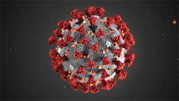 This illustration, created at the Centers for Disease Control and Prevention (CDC), reveals ultrastructural morphology exhibited by the 2019 Novel Coronavirus (2019-nCoV).
