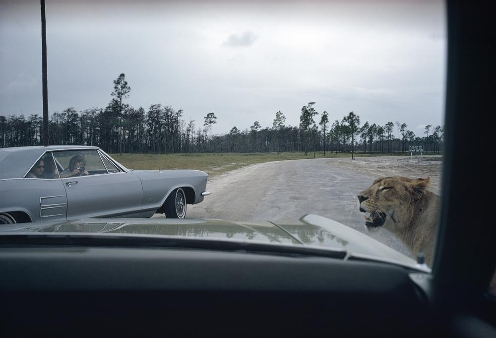 Joel Meyerowitz, Florida, 1970. Part of The Open Road exhibit, currently open at the Jepson Center. 