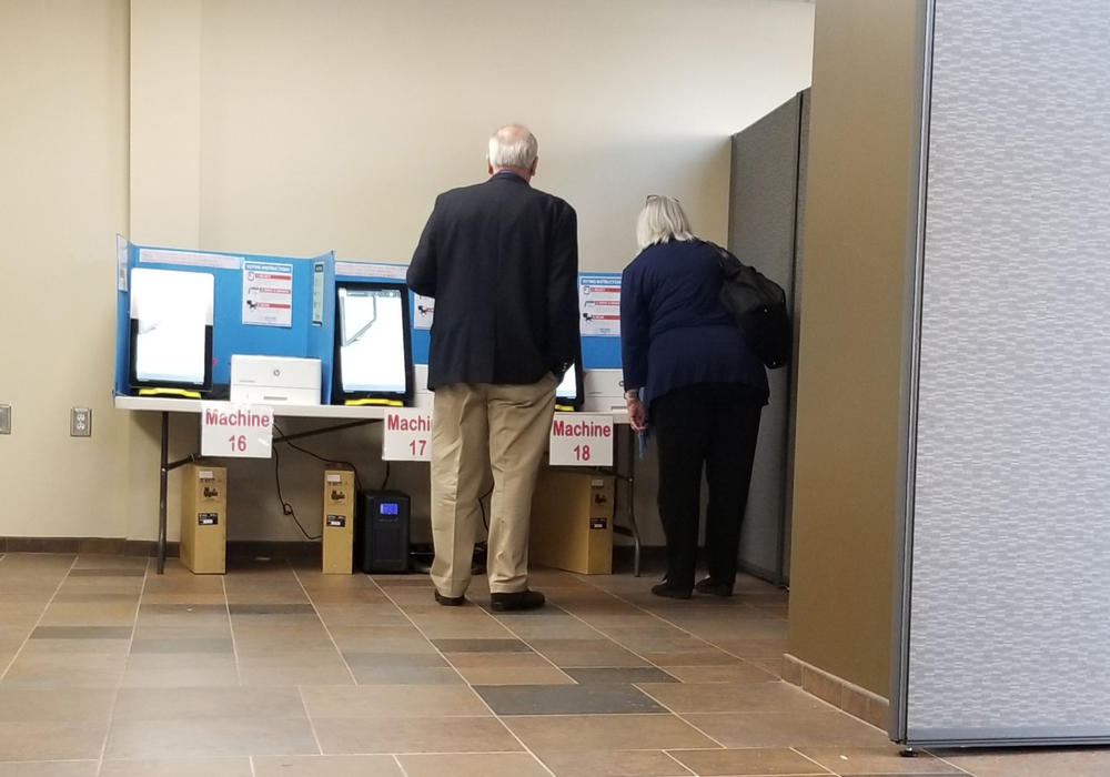 Richard DeMillo and Marilyn Marks look at a Dominion ballot-marking device at a voting precinct in Paulding County on Nov. 5, 2019.