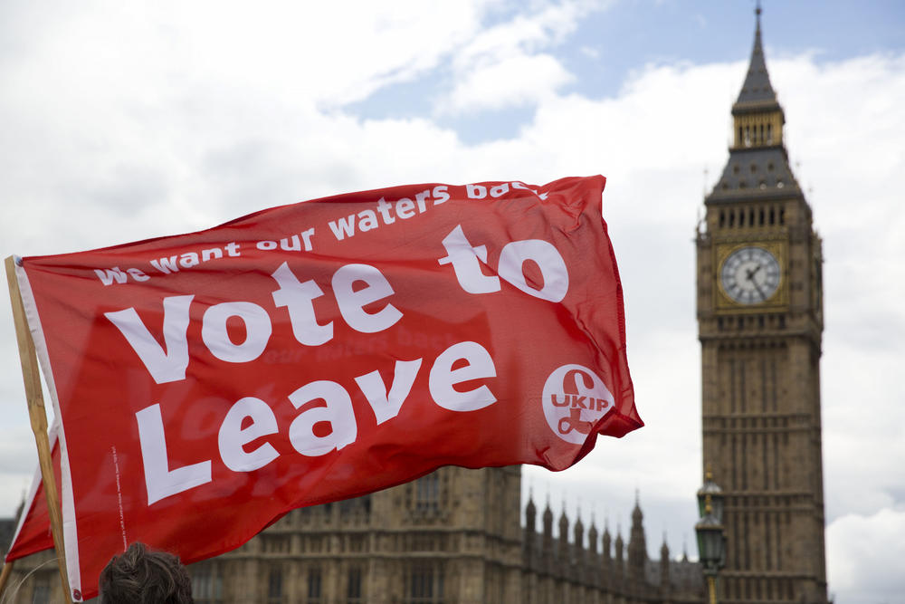 Leave supporters hold flags as they stand on Westminster Bridge during an EU referendum campaign stunt  in London, June 15, 2016.