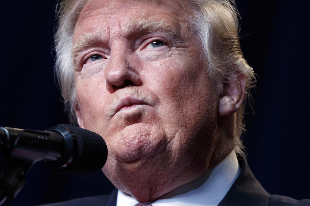 Republican presidential candidate Donald Trump speaks during a campaign rally, Friday, Aug. 5, 2016, in Green Bay, Wis.