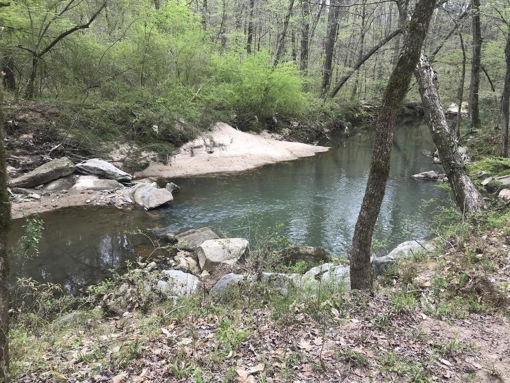 A creek that runs through Lionel Hampton-Beecher Hills Park. 