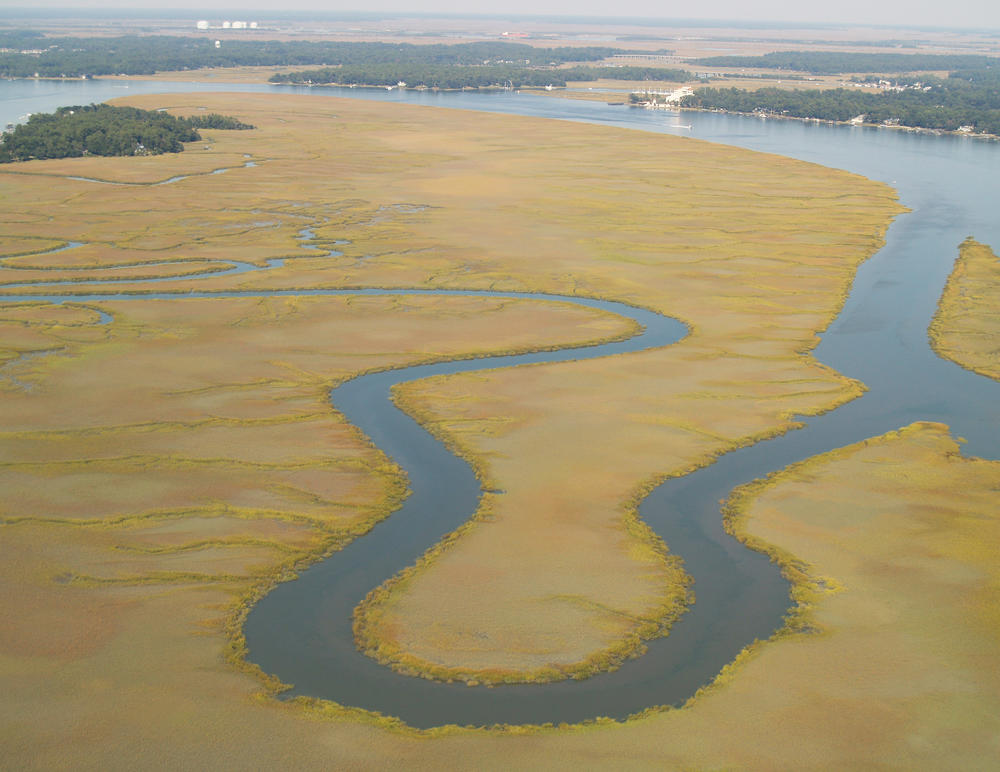 Georgia has the second-largest amount of salt marshes in the U.S. - about 368,000 acres, according to the Georgia Department of Natural Resources