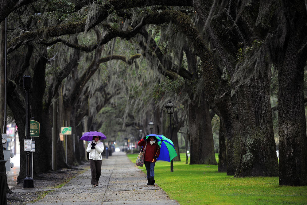 Savannah's famous trees and Spanish moss make for a lot of debris, which can clog storm drains and damage water quality.