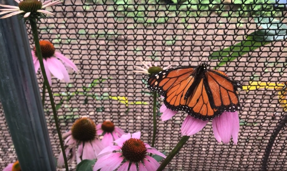 Photo taken at Smith-Gilbert Gardens