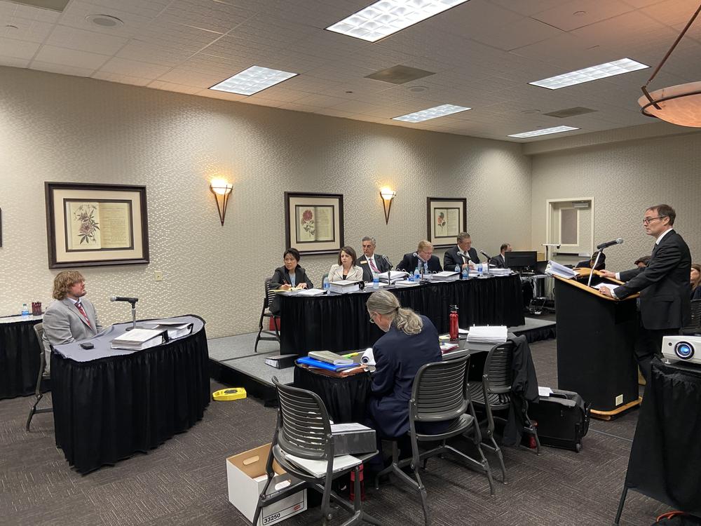 Athens-Clarke Board of Elections Chair Jesse Evans appears before the Georgia State Election Board.