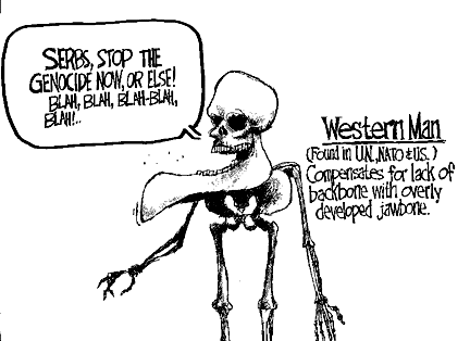 Mike Luckovich's 1995 Pulitzer Prize-winning cartoon 