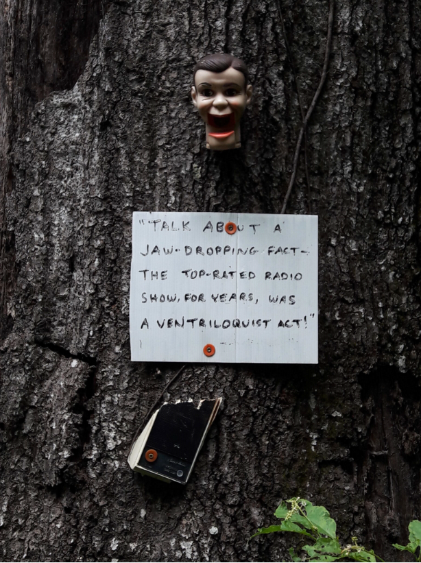 Trash-to-Treasure art of the Doll's Head Trail