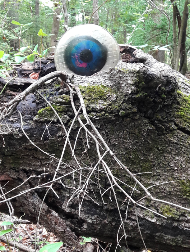 Trash-to-Treasure art of the Doll's Head Trail