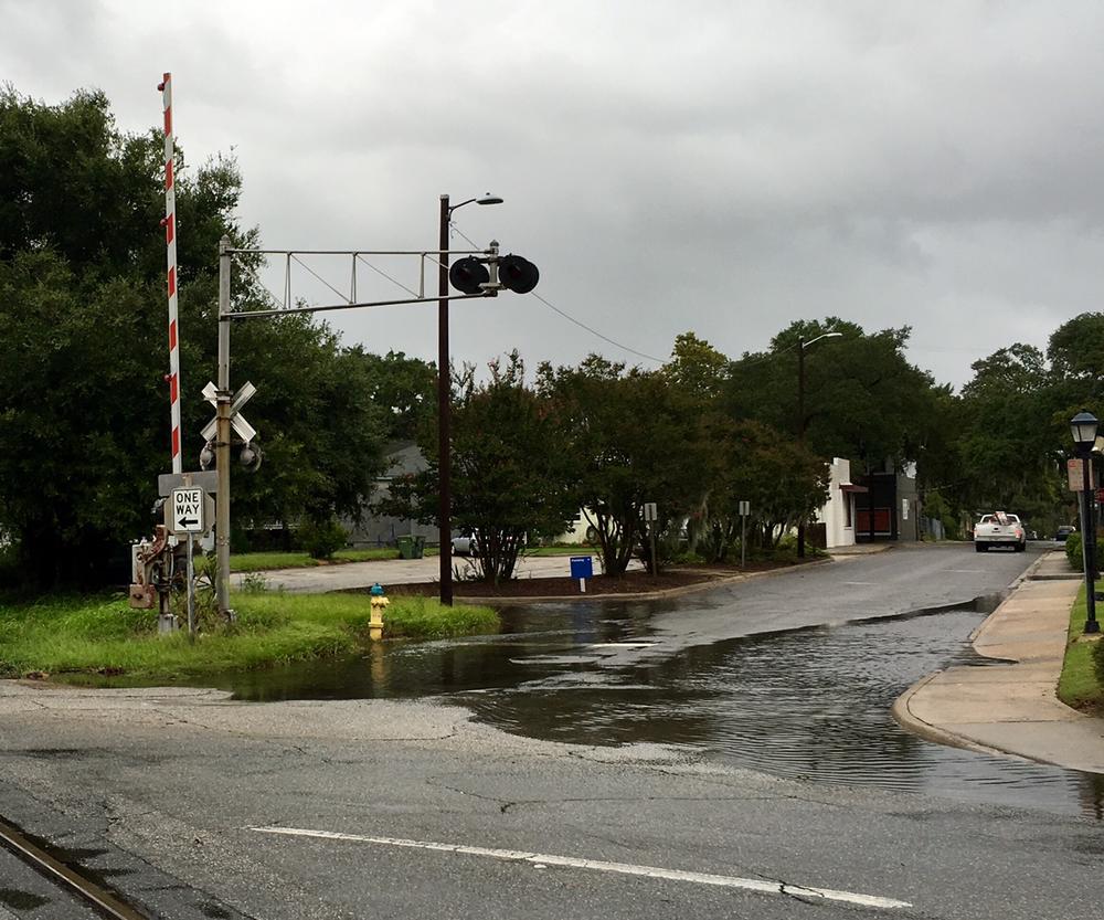 Savannah street impacted by heavy rains.